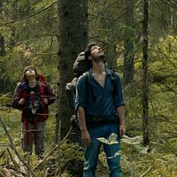 Bilder Théo Van de Voorde