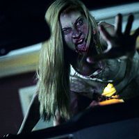 Bilder Toni Ann Gambale