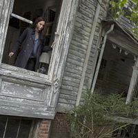 Bilder David Carranza