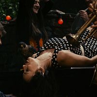 Bilder Sloboda Micalovic