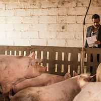 Bilder Filipe Duarte