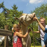 Bilder Claire Wegener