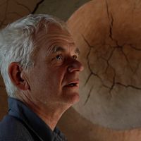 Bilder Andy Goldsworthy