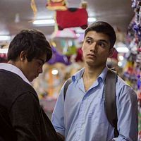 Bilder Andrew Bargsted