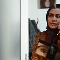 Bilder Merila Zare'i