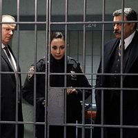 Bilder Lauren Patten