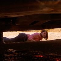 Bilder Stephanie Pearson