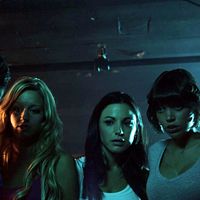 Bilder Justin Arnold