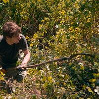 Bilder Joseph Rottner