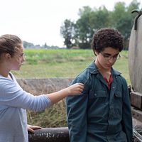 Bilder Idir Ben Addi