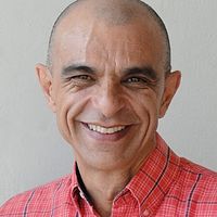 Bilder João Signorelli