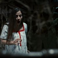 Bilder Dilara Büyükbayraktar