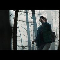 Bilder Steeve Befthrond