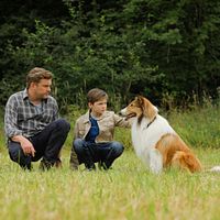 Bilder Nico Marischka