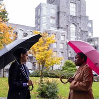 Bilder Ariana Guerra