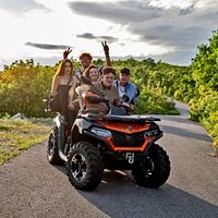 Bilder Jamie Birrell