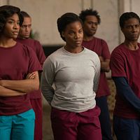 Bilder T.L. Thompson