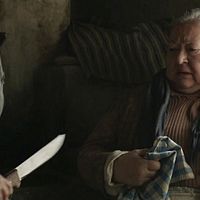 Bilder Piroska Molnár