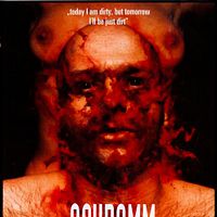 Bilder Michael Brynntrup