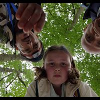 Bilder Midie Dreyfus