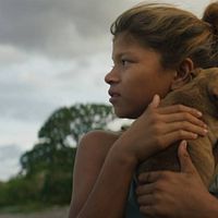 Bilder Ara Alejandra Medal