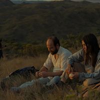 Bilder Margarita Molfino