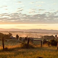 Bilder Lisa Zweerman