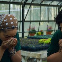 Bilder Eduardo Losan