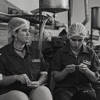 Bilder Anaita Wali Zada