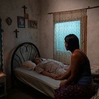 Bilder Paloma Alvamar