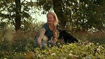 Bild von Insekten - Helden im Verborgenen Trailer (2) DF