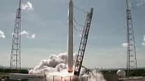 Bild von Musk Teaser OV