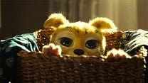 Bild von Marsupilami Trailer DF