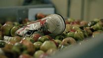 Bild von Bad Apples Trailer OV