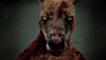 Bild von Rippy - Das Killerkänguru Trailer DF