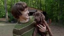 Bild von Scooby-Doo: Origins Teaser OV