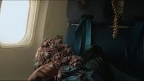 Bild von Spiders On A Plane Trailer OV