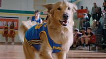 Bild von Air Bud Returns Teaser OV