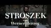 Bild von Stroszek Trailer DF
