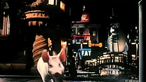 Bild von Schweinchen Babe in der großen Stadt Trailer OV