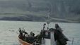 Bild von Reykjavik Whale Watching Massacre Trailer OV