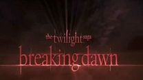 Bild von Twilight 4: Breaking Dawn - Bis(s) zum Ende der Nacht (Teil 1) Trailer OV