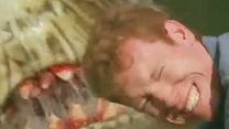 Bild von Hai Attack Trailer OV