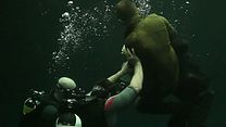 Bild von Videoblog Underwater - Englisch
