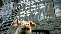 Bild von Animal Farm Trailer OV