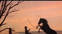 Bild von Snowy River Trailer OV