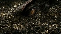 Bild von Der Hobbit: Smaugs Einöde Videoclip (20) OV
