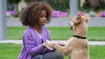 Bild von Annie Trailer (2) DF