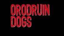 Bild von What if Quentin Taratino made a Lord of the Rings Movie - "Orodruin Dogs" Trailer