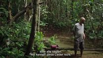 Bild von Song from the Forest Trailer OV